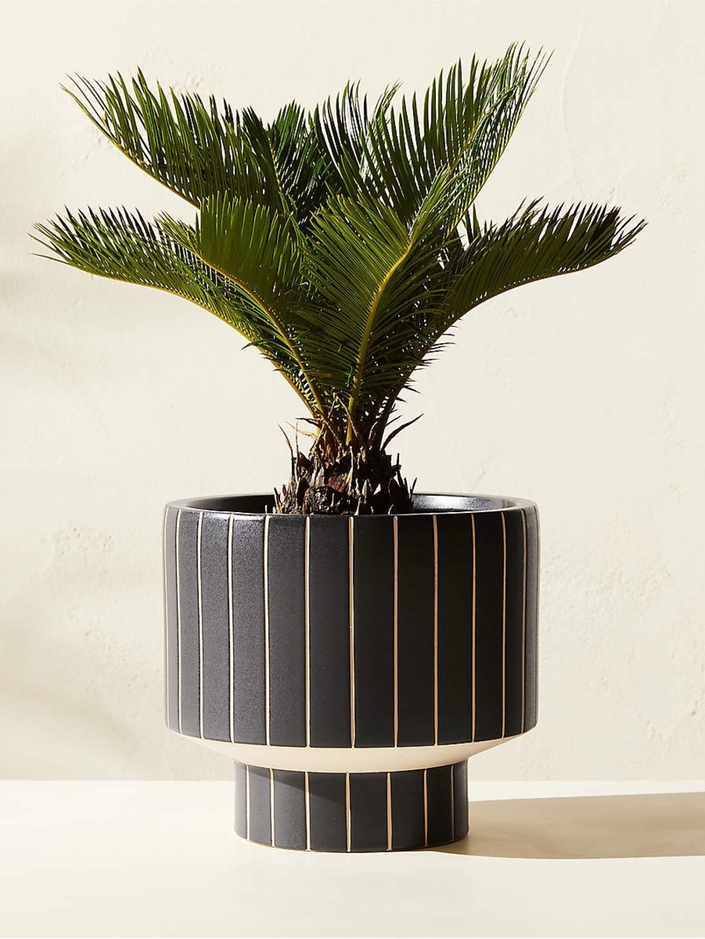CB2 ‘KOMO MATTE BLACK STRIPED CERAMIC INDOOR/OUTDOOR PLANTER SMALL’